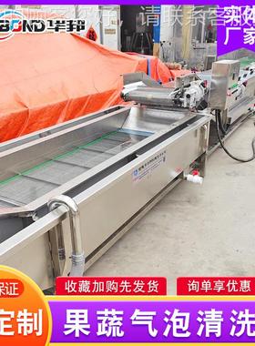 柑淋橘气泡清洗毛机 韭菜芹菜去杂清洗备 蓝莓豆高压设喷式清MKM
