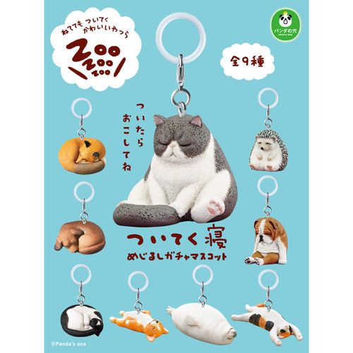 2月预定T-ARTS熊猫之