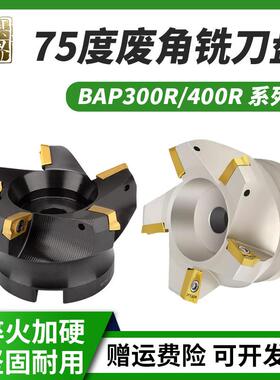 数控75度废角刀盘RAP300/400R-63/80副角平面铣刀盘横装刀片1604