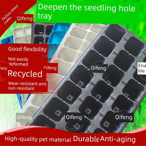 高脚加厚育苗盘多种规格新款加厚草莓林木扦插专用防晒育苗穴盘