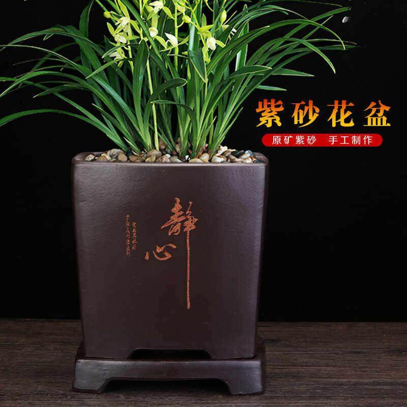 宜兴紫砂君子兰专用兰花四方长方盆中国风陶瓷花盆带托盘吸水透气,鲜花速递/花卉仿真/绿植园艺,花盆,淘宝优惠券,粉丝福利购,淘宝优惠卷