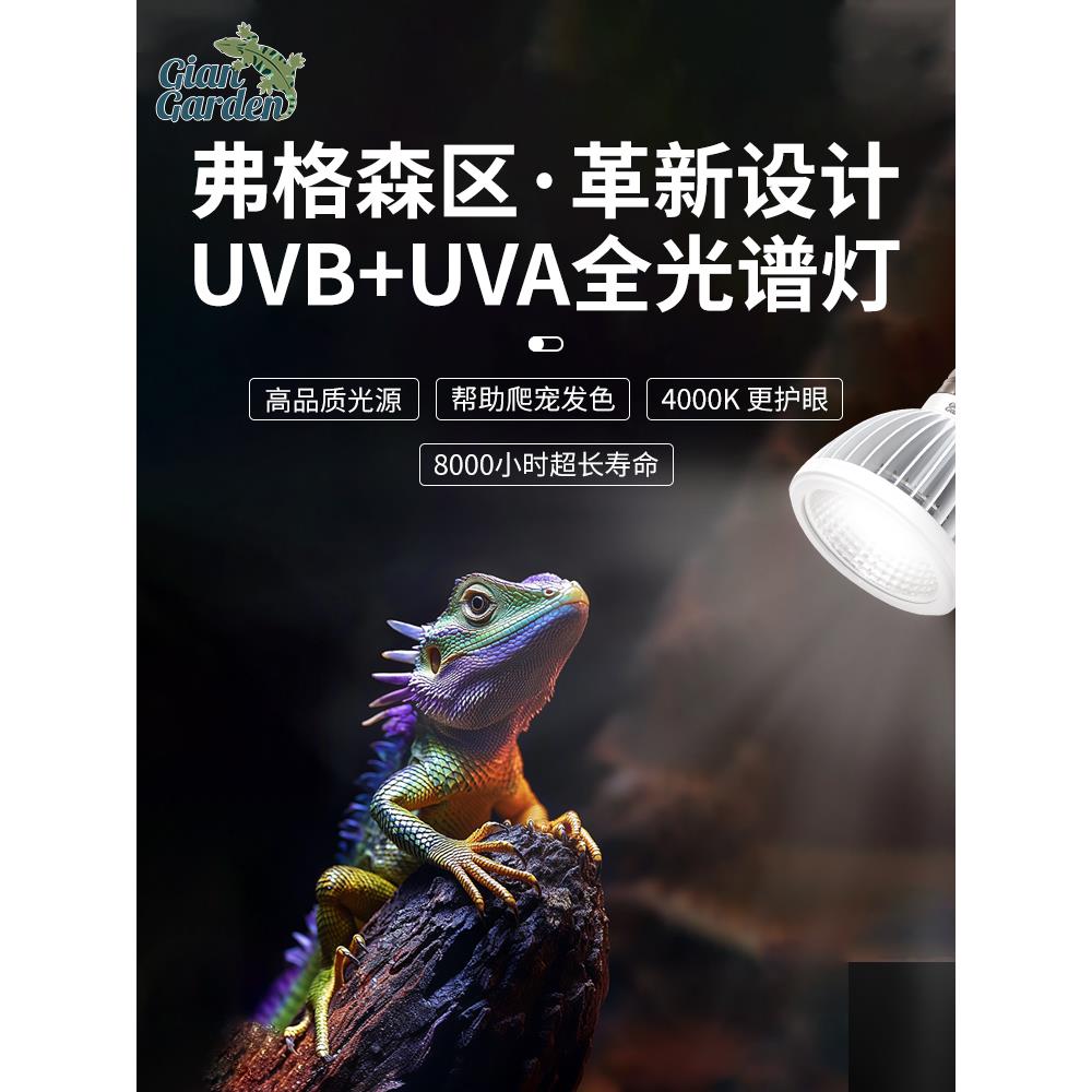 Bijarden巨型爬行动物宠物Uvb补钙灯弗格森地区Uva Uvb灯蜥蜴海龟