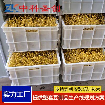 豆芽机 商用自动控温淋水芽全自动生豆芽机小投UKP资设备种 子发
