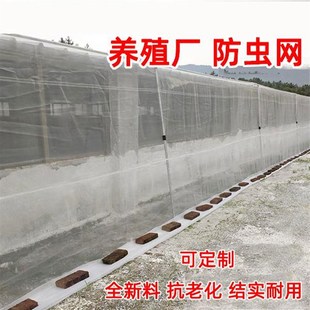 加厚加密大棚防虫网农用蔬菜果树园尼龙养殖围网防蚊网