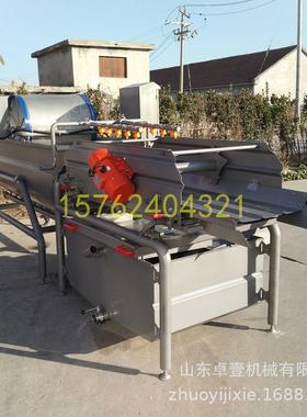 型涡流清洗机 去大泥去杂质全自动清洗蔬机 洗18697 水果菜蔬菜效