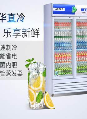冷冰藏展示柜式玻璃商用柜冰箱SMK啤饮料保立鲜酒柜双门单门冷柜