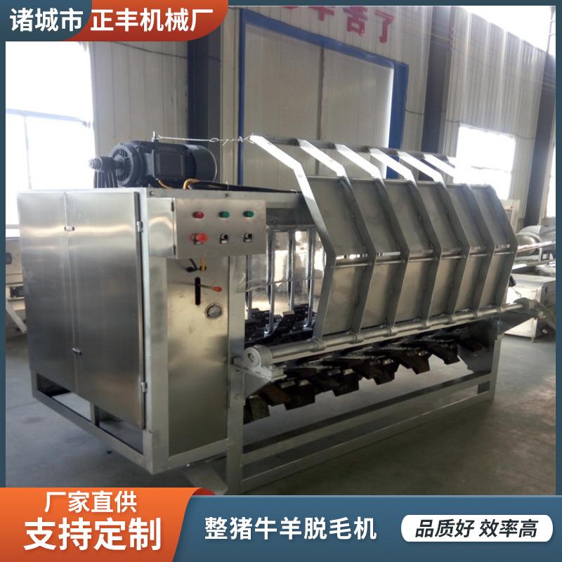 厂家定制生猪屠宰脱毛设备 肥猪打毛脱毛机 全自动整猪刨毛机