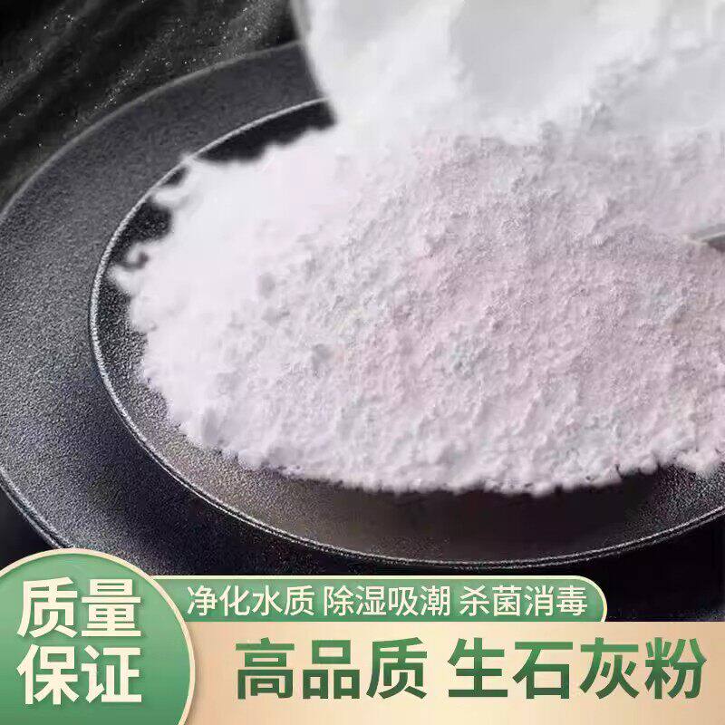 生石灰粉10斤养殖杀菌种