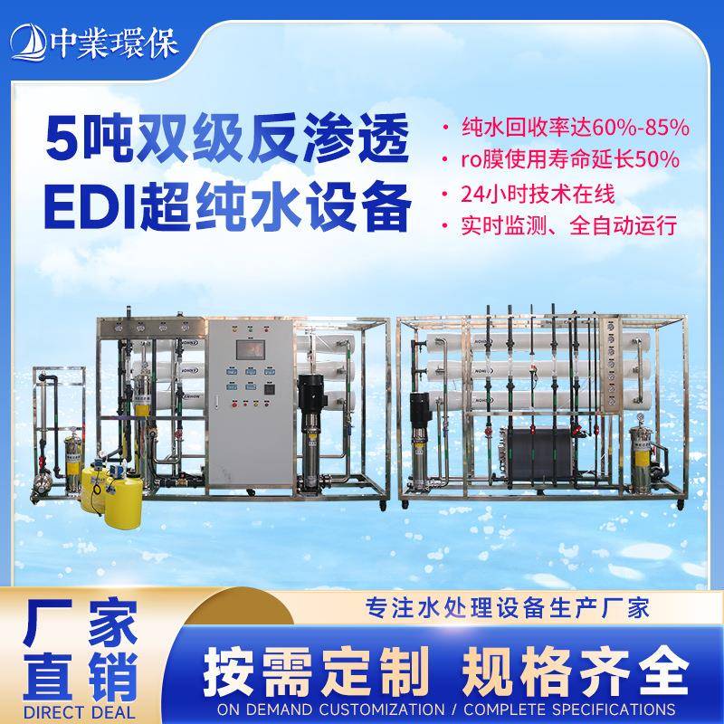edi超纯水设备双级反渗透水处理设备工业净水设备大型净水器纯水