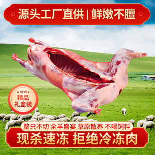 宁夏滩羊直供烤全羊烧烤饭店酮体排酸专用现杀羊肉整只新鲜