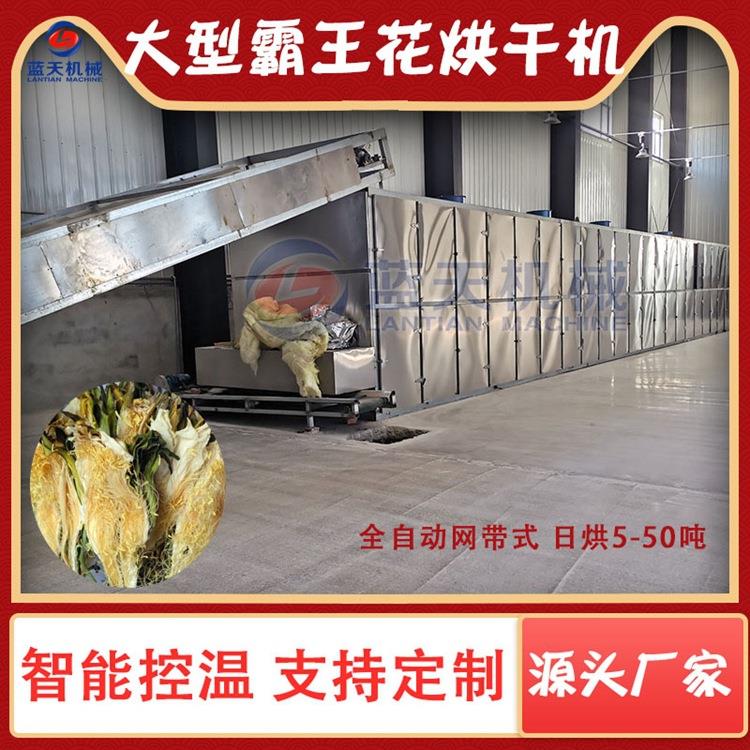 大型霸王花烘干机 网带式剑花霸王花干货烘干设备 七星剑花干燥机