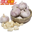 农家新干大蒜河南杞县紫白皮大蒜子蔬菜1斤3斤5斤9斤 产地直发