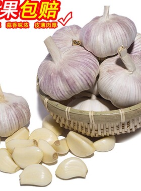 【产地直发】农家新干大蒜河南杞县紫白皮大蒜子蔬菜1斤3斤5斤9斤