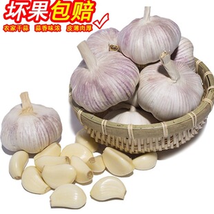 农家新干大蒜河南杞县紫白皮大蒜子蔬菜1斤3斤5斤9斤 产地直发