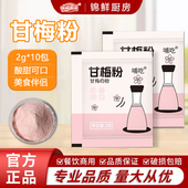 甘梅粉梅子粉鸡排地瓜薯条专用撒粉商用500g台湾省甘梅撒料干梅粉