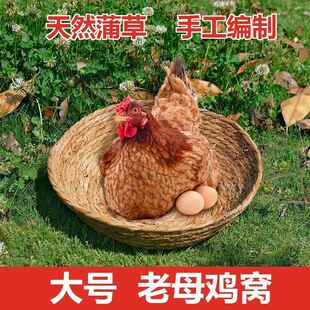 鸡窝大鹅鸭孵蛋老母鸡下蛋窝草窝鸽子鸟窝四季通用