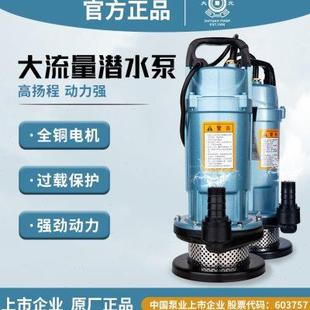 潜水泵家用井用水泵220V380V工业农用灌溉高扬程抽水泵抽水机 大元