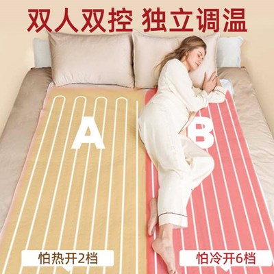 电热毯羊羔绒双人双控调温家用z单人学生宿舍可水洗除螨加厚电褥