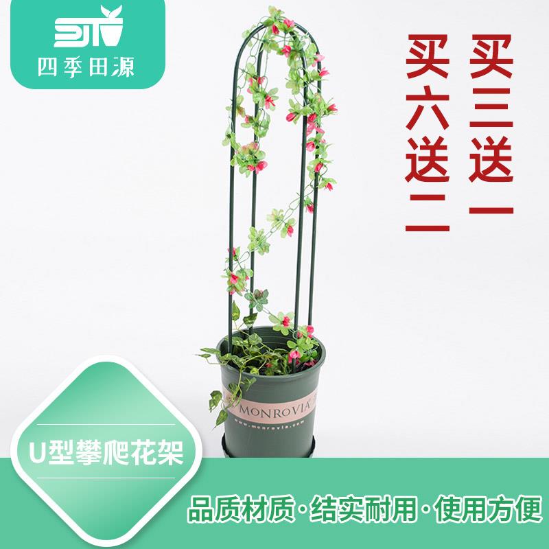 园艺包塑钢管弯管支架花支柱阳台种菜家庭月季黄瓜番茄种植爬藤架