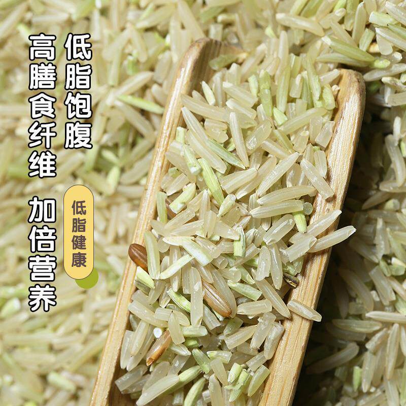 长粒香糙米2024年新米农家杂粮胚芽低脂控糖减脂健身代餐饱腹玄米