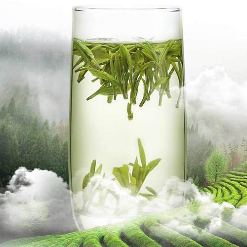 江西赣州上犹特级毛尖绿茶五指峰剑绿特产2024新茶一芽两叶茶叶铭