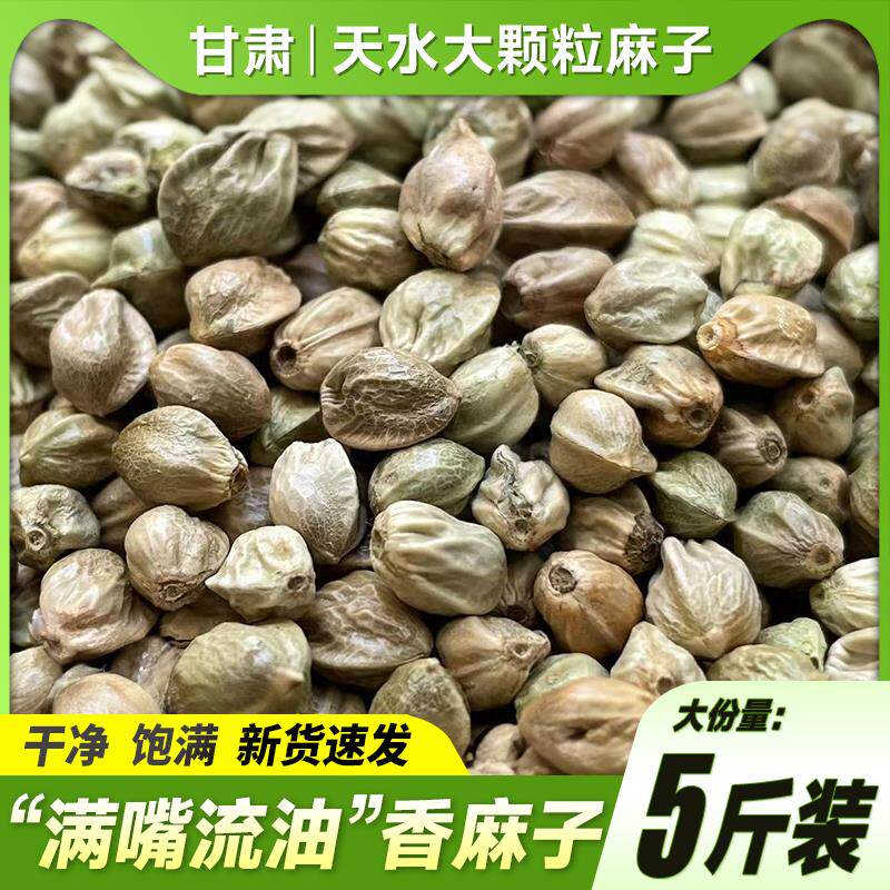 甘肃特产天水麻子500g火麻包邮香麻子大粒新货人吃食用大颗粒麻籽
