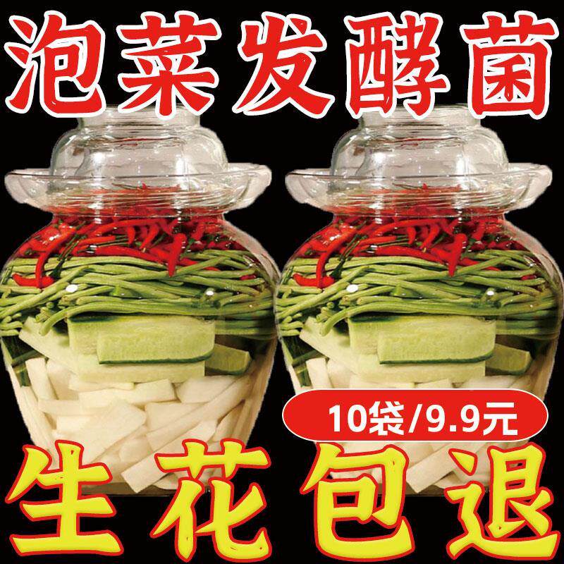 泡菜发酵菌正品乳酸菌泡菜母水四川泡菜东北老坛酸菜正宗不生花剂