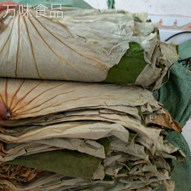 整张荷叶大张江西整张天然干荷叶包饭叫花鸡糯米鸡价菏叶茶
