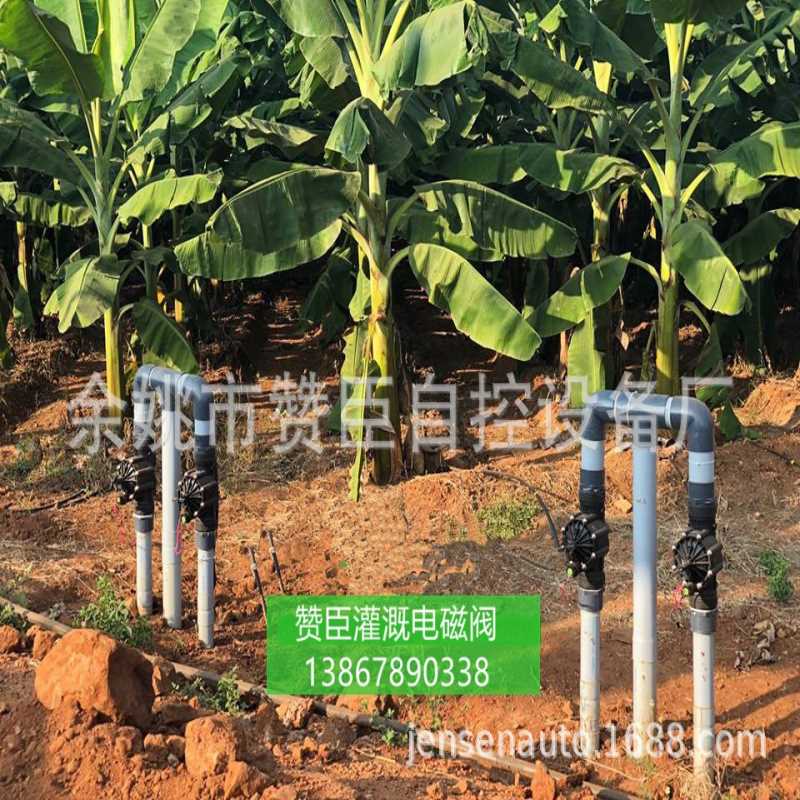 大规模香蕉园中使用的智能灌溉系统电磁阀 90管 3寸内径DN80