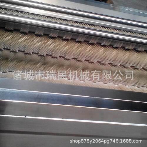瑞民软毛果蔬清洗机 不锈钢果蔬去皮清洗机 质保5年