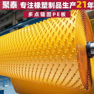 锚固板聚乙烯混凝土保护衬垫混凝土保护PE板多点锚固PE板