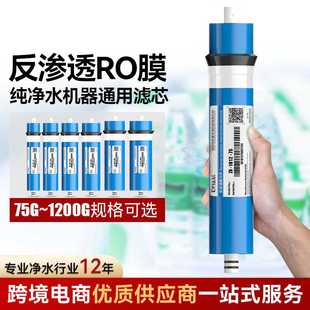 钻芯反渗透膜ro膜滤芯10寸通用自来水过滤家用净水机配件净水器