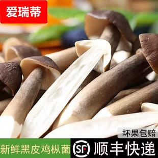 【顺丰包邮】新鲜黑皮鸡肉丝菇鸡枞菇荔枝菌鸡棕菇长根蘑菇食用菌