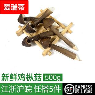 新鲜黑皮鸡枞菌500g 菌菇长根蘑菇荔枝菌鸡棕菇 煲汤食材