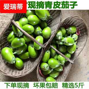 新鲜大绿茄子湖北特产青茄子新鲜蔬菜农家自种牛奶茄子五斤包邮