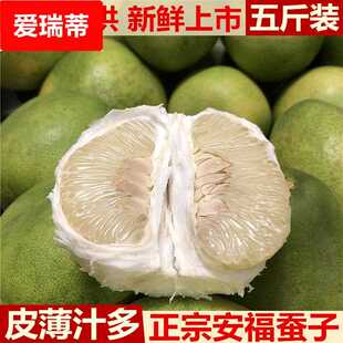 安福柚子江西特产萍乡蚕子土柚子井冈蜜柚横龙吉安金兰柚5斤