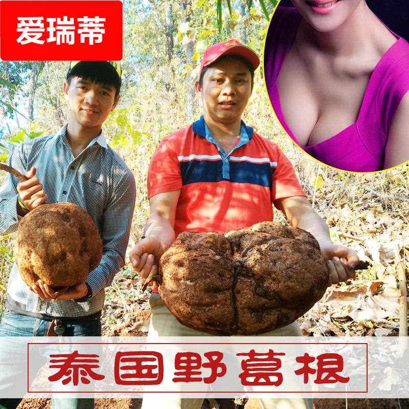 纯泰国野葛根粉白高颗石丰葛女性保养可配青木瓜粉