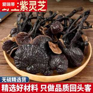 野生紫灵芝 500克 紫灵芝泡酒 紫芝林芝可切灵芝片干货