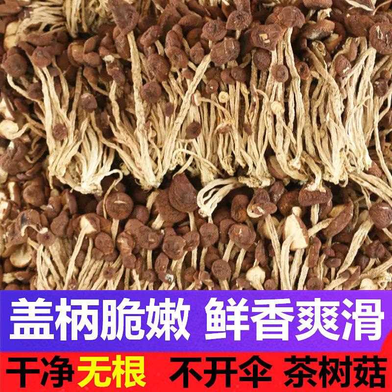 茶树干货新不开伞5货00g新鲜炖汤古田茶树菇伞干货一斤不开茶菇菇