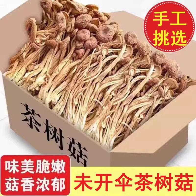 古菇田茶树菇新货500g新干货农家鲜茶薪特产净重香菇蘑菇金针级菇