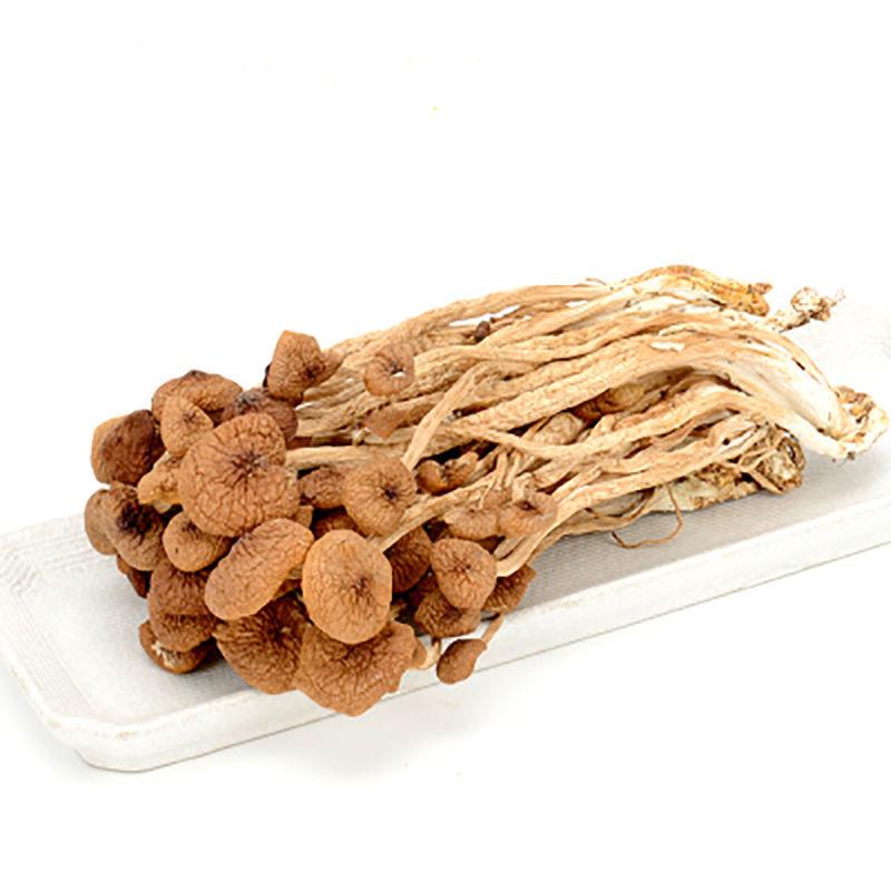 茶菇干货福建特产新茶树菇农家树不伞1/50开g500g/1000g