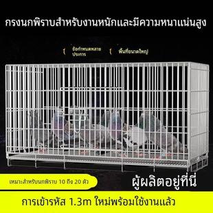 新款鸽子笼养殖笼大室外大号特大专用网不锈钢放飞笼训鸽笼白鸽