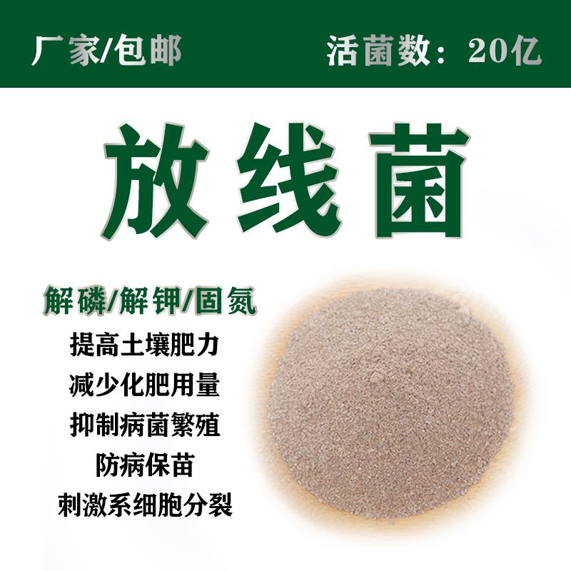 放线菌细黄链霉菌兰花用微生物菌肥菌剂 厂家直销20亿1kg每袋包邮