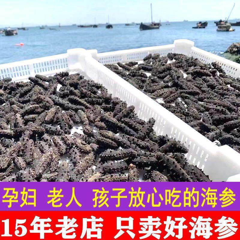 龙珍海参干 干货50g 山东威海底播野生刺参非大连辽淡干海参发泡