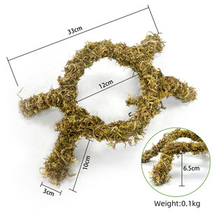 宠物苔藓攀爬架12英寸蜗牛寄居蟹攀爬玩具爬虫箱