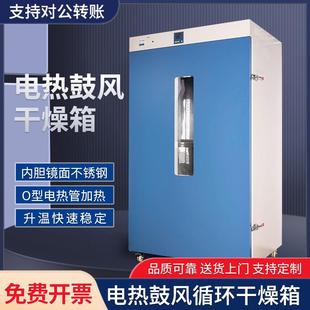 300°C恒温食品中药材烘烤箱 智能控温电热鼓风干燥箱实验室RT10