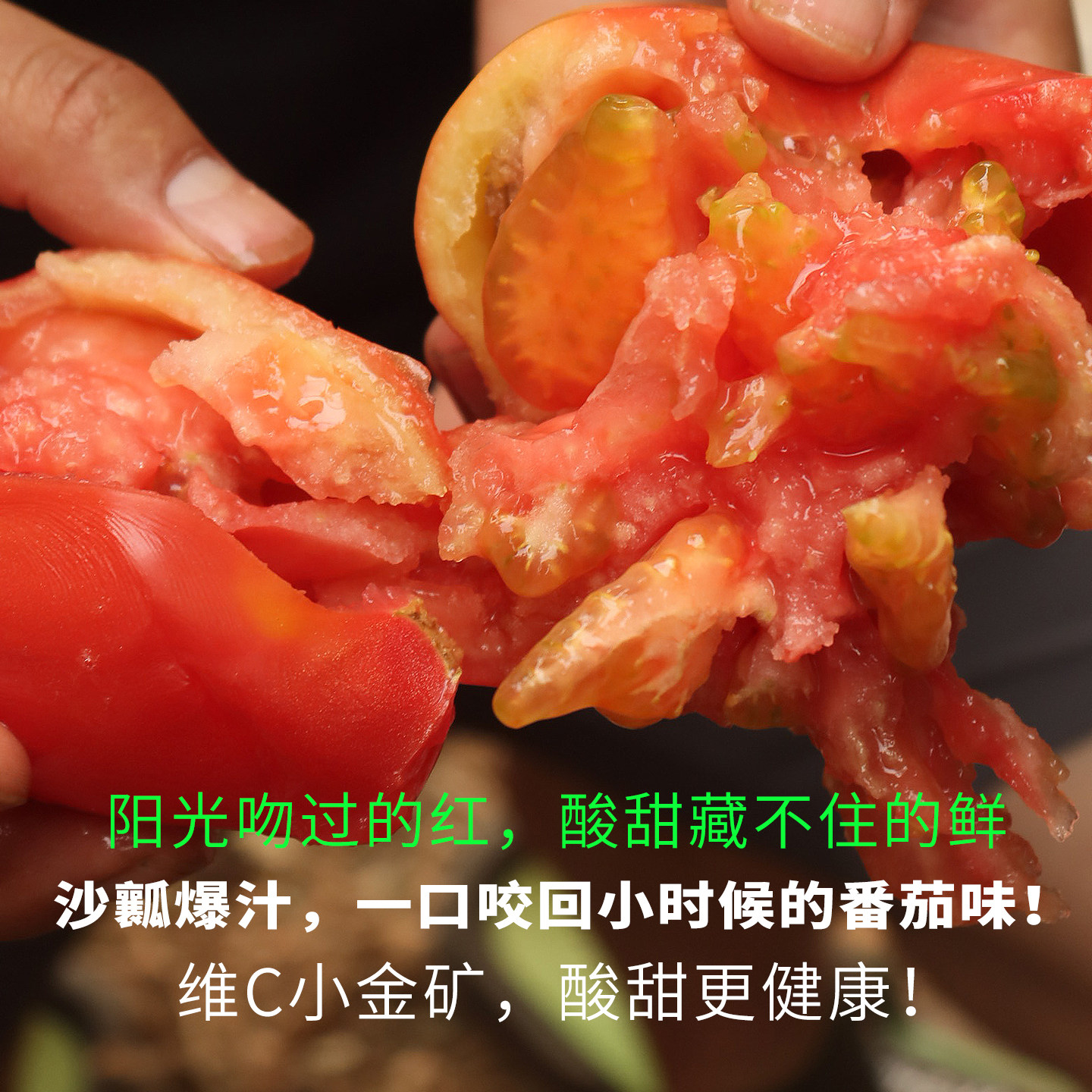 现摘西红柿老品种沙瓤新鲜自然熟当季正宗草莓心水果番茄普罗旺斯