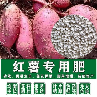 复合肥蔬菜农用种菜红薯番薯山芋芋头地瓜肥料家用颗粒复合肥