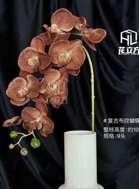 复古风仿真蝴蝶兰家居客厅插花摆件婚礼布置装饰绢花拍照布景