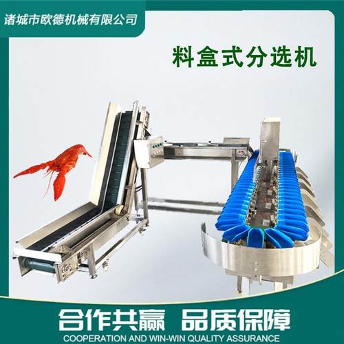 小龙虾实用性全自动料盒分选机 加工分级机 生蚝分拣机高速分选